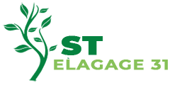 elagueur-st-elagage